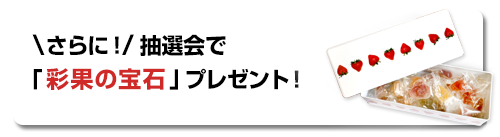 さらに！抽選会で 彩果の宝石 先着プレゼント！