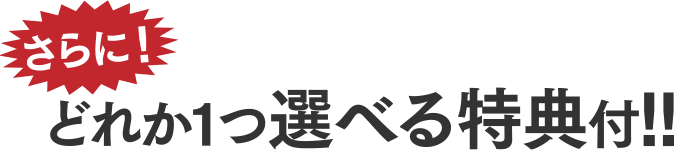 さらに！どれか1つ選べる特典付!!